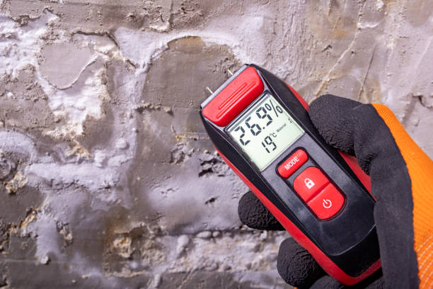 Best Black Mold Remediation in Bacliff, TX