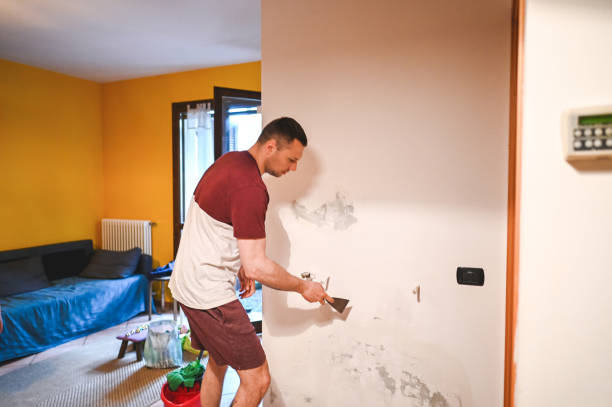 Best Preventive Mold Services in Bacliff, TX